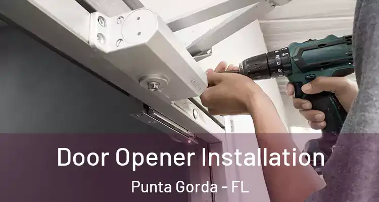  Door Opener Installation Punta Gorda - FL