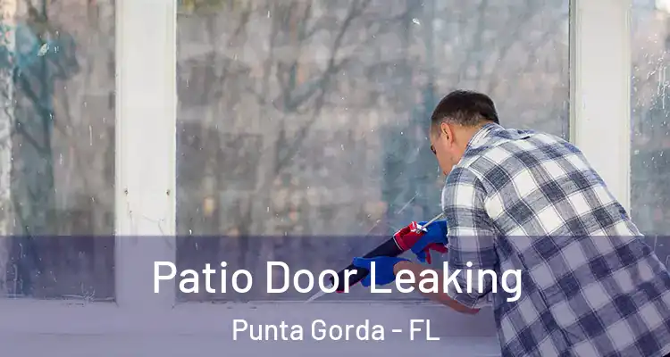  Patio Door Leaking Punta Gorda - FL